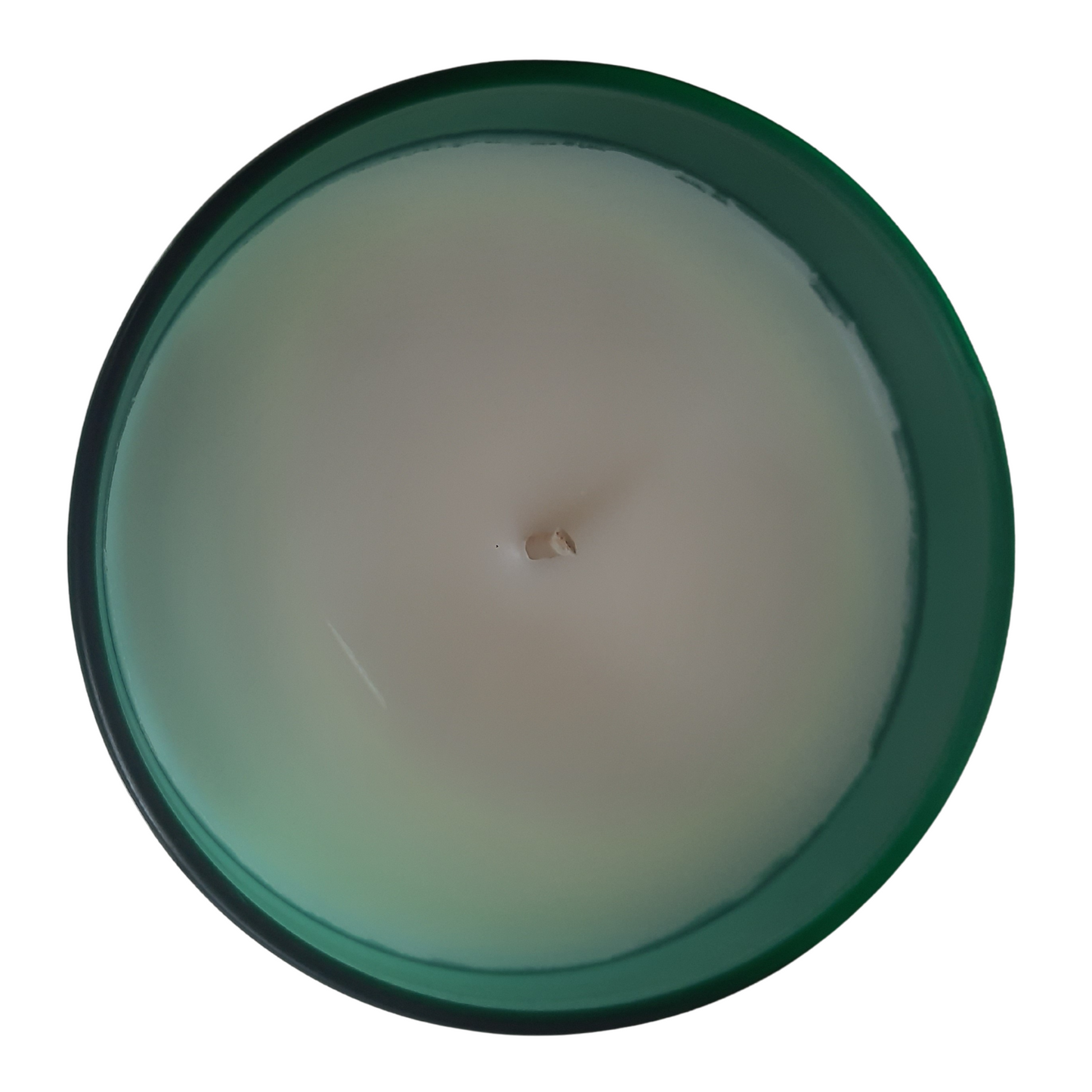 Up In The Clouds Candle - Fog & Fern | Eco-Friendly, Hand-Poured, Coconut Blend Wax, Single Wick