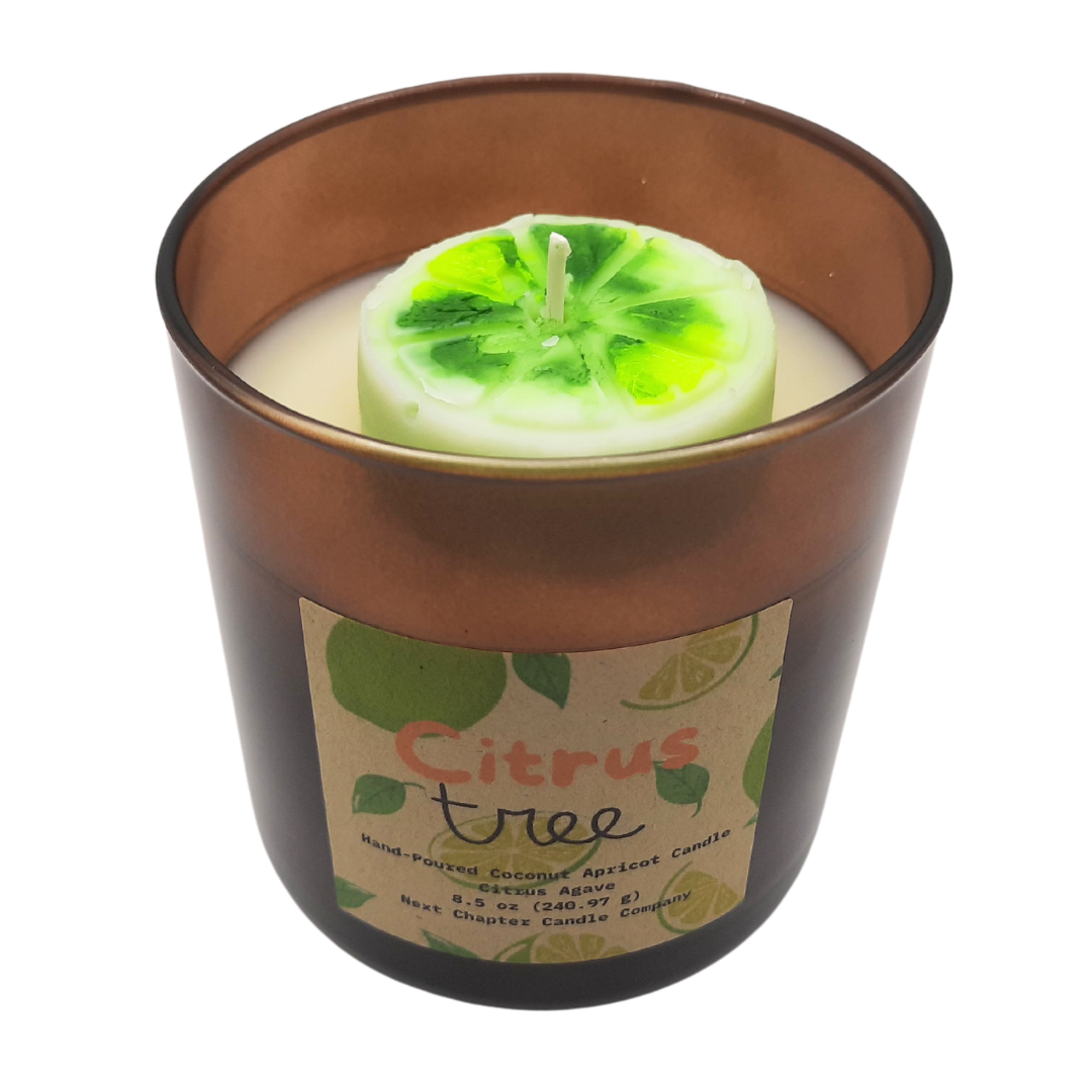 Citrus Tree Candle - Citrus Agave | Eco-Friendly, Hand-Poured, Coconut Blend Wax, Single Wick